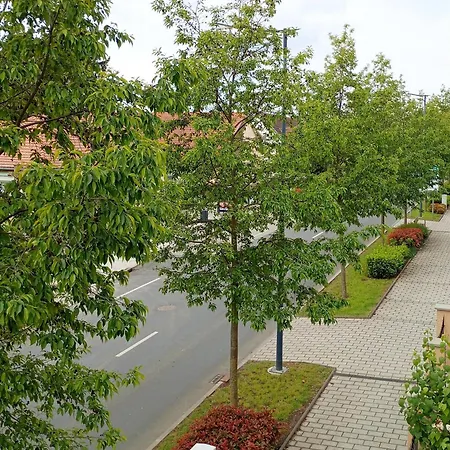 Anna Vendeghaz Апартаменты