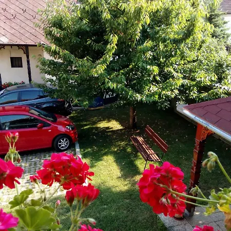 Anna Vendeghaz Хевиз